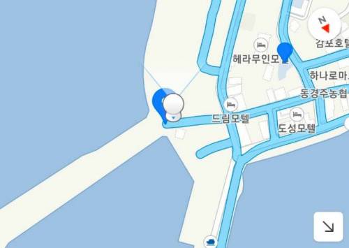 특이점이 온 카카오맵 로드뷰.jpg