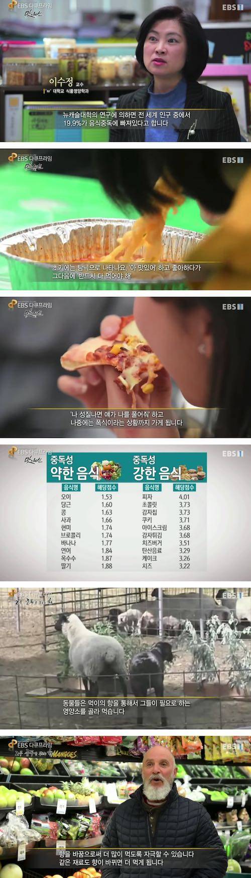 배가 불러도 계속 먹을수 있는 이유.jpg