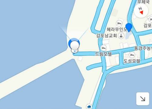 특이점이 온 카카오맵 로드뷰.jpg