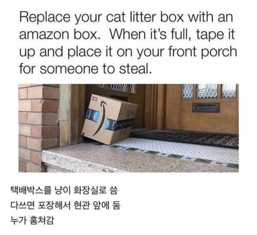 해외 고양이변 처리법.jpg