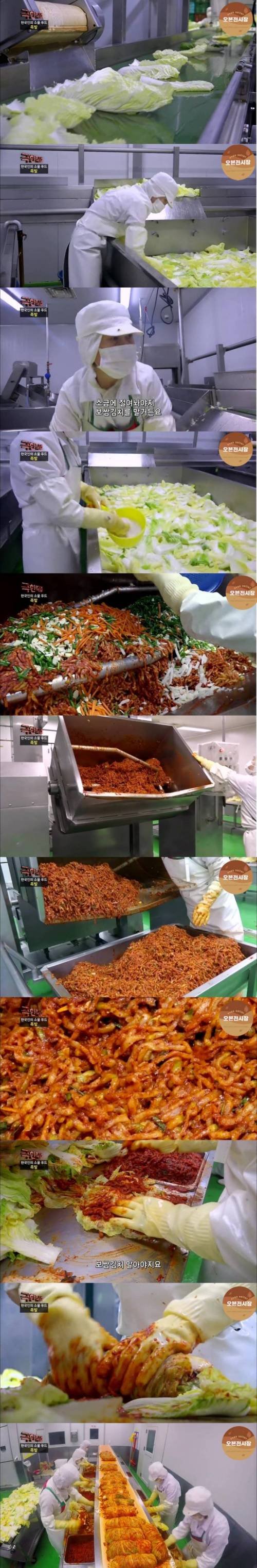 [스압] 공장에서 보쌈김치를 만드는 과정.jpg