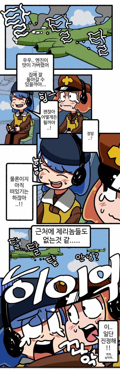 2차대전 중 기사도를 보여준 독일 전투기.jpg