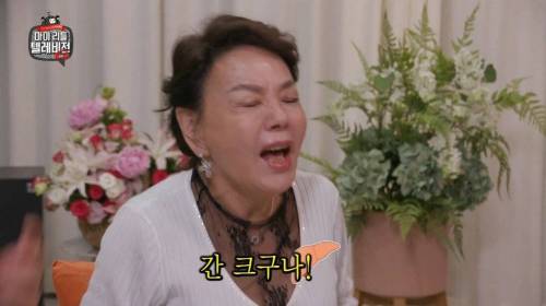 [스압] 셀프도네 2백만원 쏜 김수미