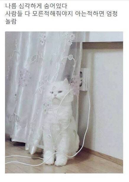 나름 심각하게 숨어있다.jpg