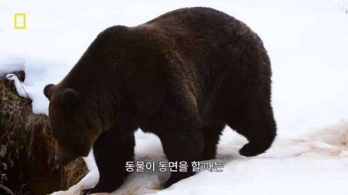 [스압] 행성 간 여행을 가능하게 할 새로운 희망 .jpg