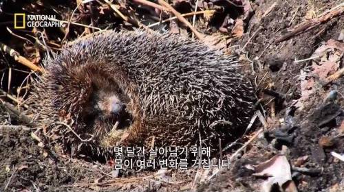 [스압] 행성 간 여행을 가능하게 할 새로운 희망 .jpg