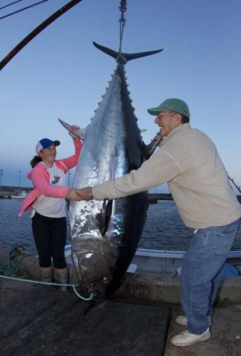 280kg 참다랑어 잡은 12살 소녀.jpg