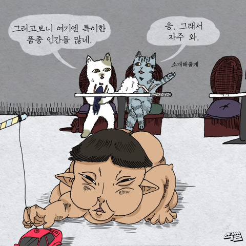 [스압] 고양이가 애완 인간 키우는 만화.jpg