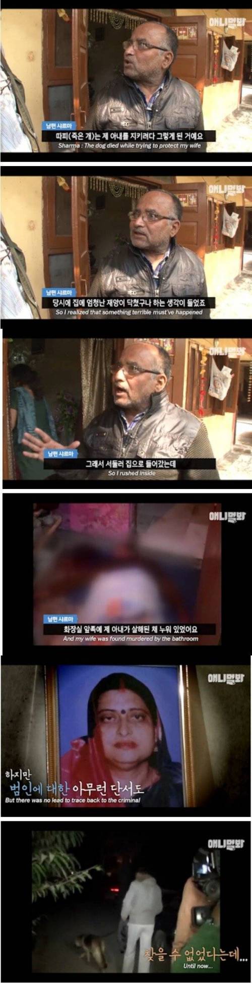 [스압] 살인사건을 목격한 앵무새.jpg