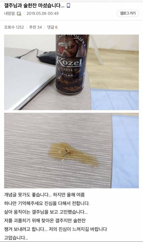 흔한 모기 갤러리 글.jpg