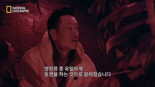 [스압] 행성 간 여행을 가능하게 할 새로운 희망 .jpg