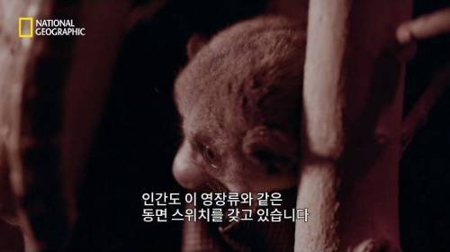 [스압] 행성 간 여행을 가능하게 할 새로운 희망 .jpg