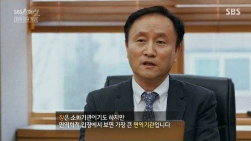 [스압] 우리 몸 제2의 뇌