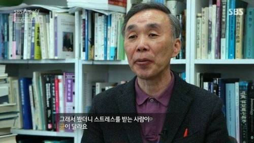 [스압] 우리 몸 제2의 뇌