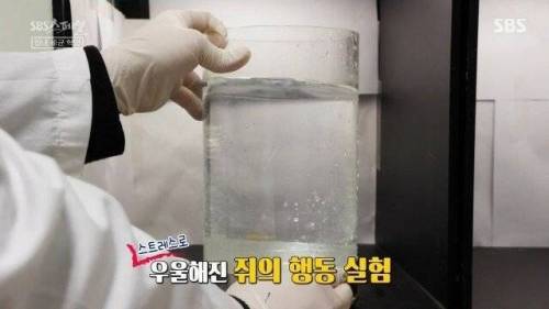 [스압] 우리 몸 제2의 뇌