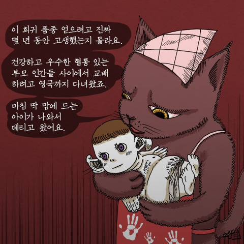[스압] 고양이가 애완 인간 키우는 만화.jpg