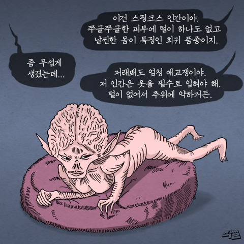 [스압] 고양이가 애완 인간 키우는 만화.jpg
