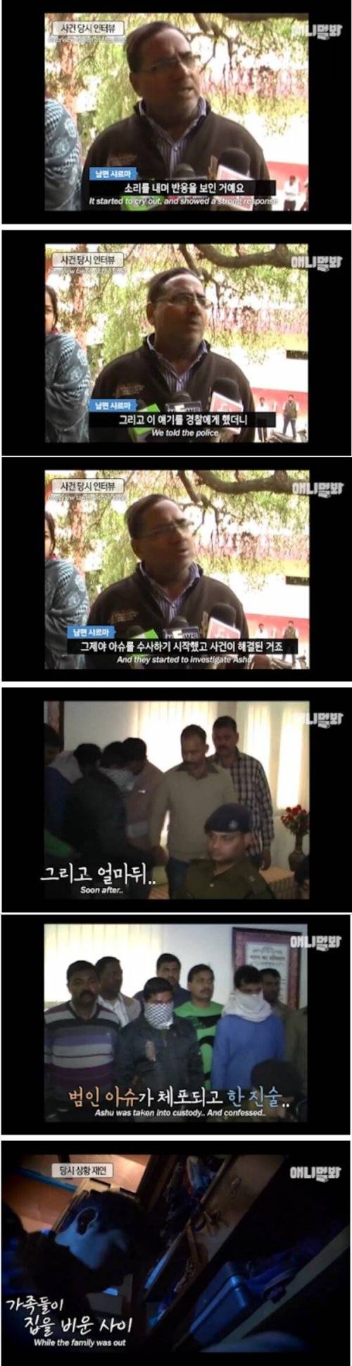 [스압] 살인사건을 목격한 앵무새.jpg