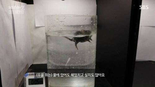 [스압] 우리 몸 제2의 뇌