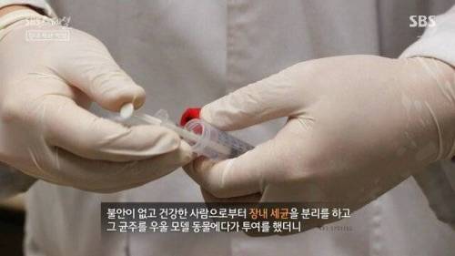 [스압] 우리 몸 제2의 뇌