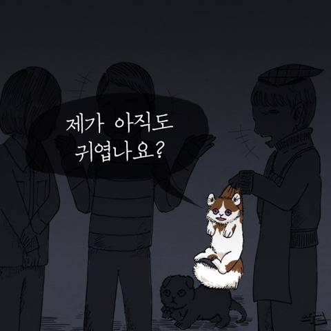 [스압] 고양이가 애완 인간 키우는 만화.jpg