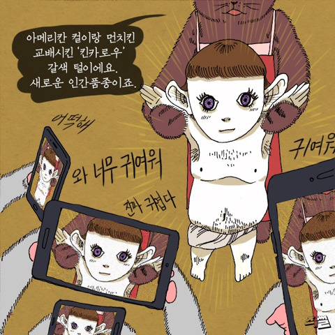 [스압] 고양이가 애완 인간 키우는 만화.jpg