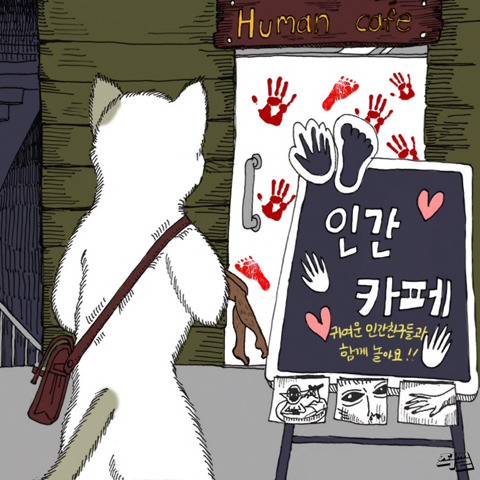 [스압] 고양이가 애완 인간 키우는 만화.jpg