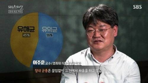 [스압] 우리 몸 제2의 뇌