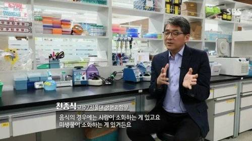 [스압] 우리 몸 제2의 뇌