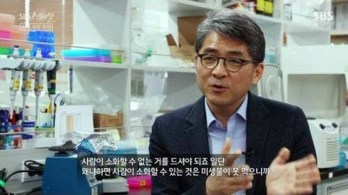 [스압] 우리 몸 제2의 뇌