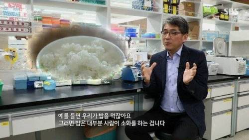 [스압] 우리 몸 제2의 뇌