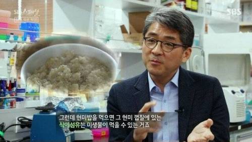 [스압] 우리 몸 제2의 뇌