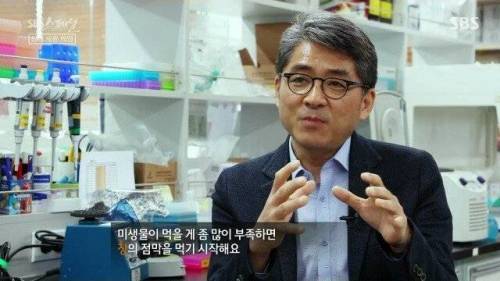 [스압] 우리 몸 제2의 뇌