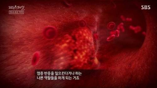 [스압] 우리 몸 제2의 뇌