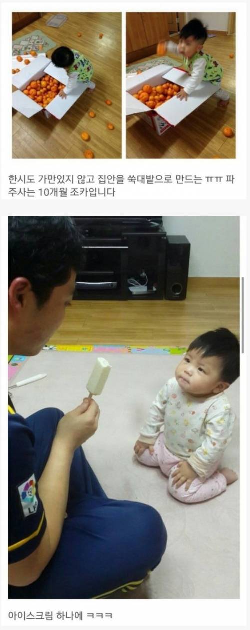 집안을 쑥대밭으로 만들다가 걸린 조카.jpg