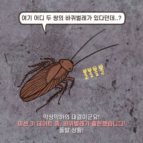 군필 VS 미필
