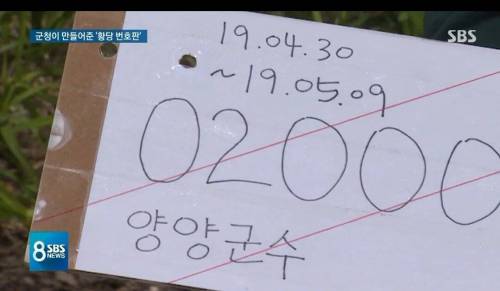 이거 진짜에요. 군청 가서 발급 받았어요..jpg