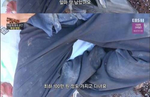 [스압] 극한직업, 옥상 정원.jpg