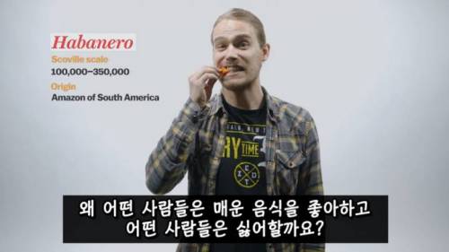 [스압] 매운 음식을 좋아하는 이유.jpg