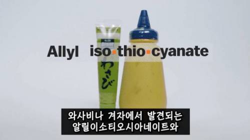 [스압] 매운 음식을 좋아하는 이유.jpg