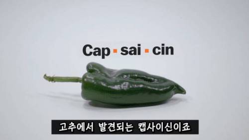 [스압] 매운 음식을 좋아하는 이유.jpg