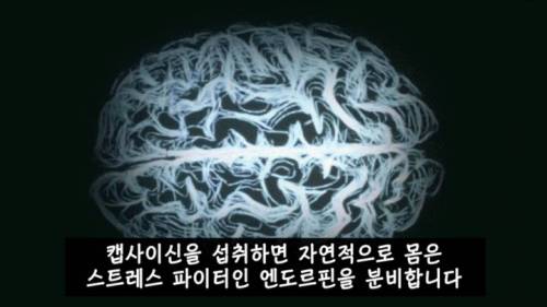 [스압] 매운 음식을 좋아하는 이유.jpg
