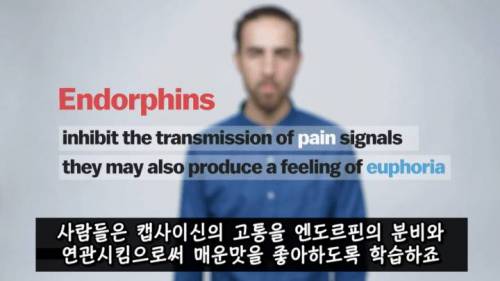 [스압] 매운 음식을 좋아하는 이유.jpg