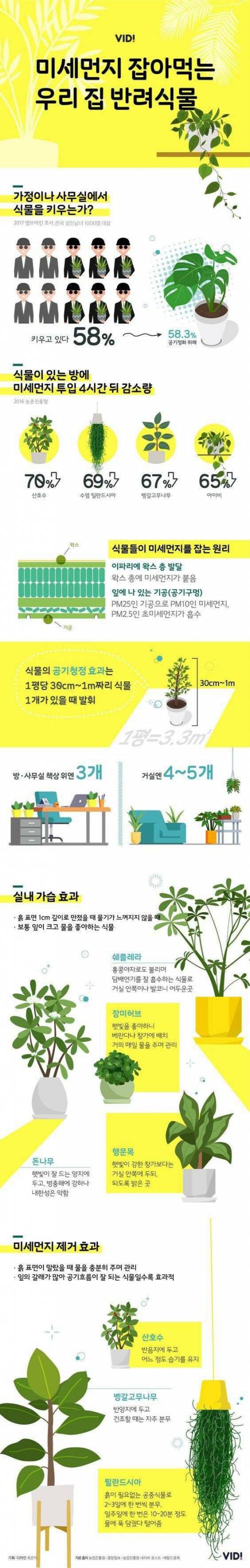 미세먼지 잡는 식물.jpg