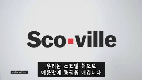 [스압] 매운 음식을 좋아하는 이유.jpg