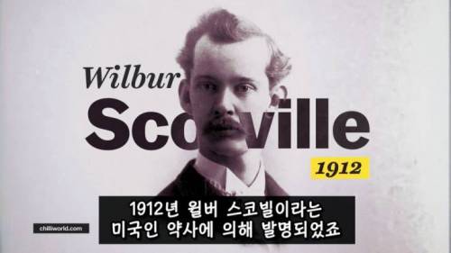 [스압] 매운 음식을 좋아하는 이유.jpg