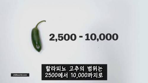 [스압] 매운 음식을 좋아하는 이유.jpg