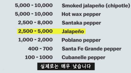[스압] 매운 음식을 좋아하는 이유.jpg