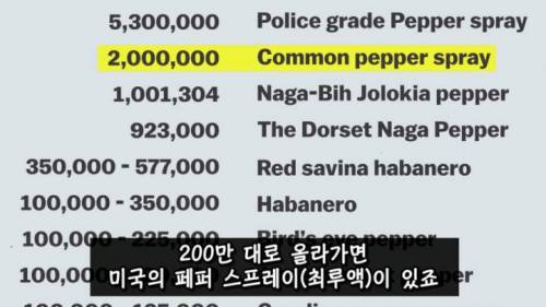 [스압] 매운 음식을 좋아하는 이유.jpg