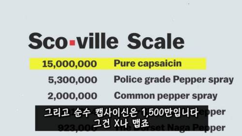 [스압] 매운 음식을 좋아하는 이유.jpg